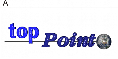  Das alte Logo der Toppoint